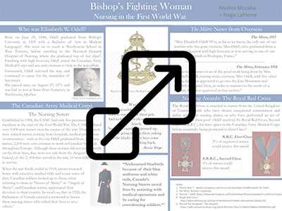 Bishop's Fighting Woman - Nursing in the First World War